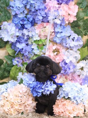 20250622つむぎちゃん